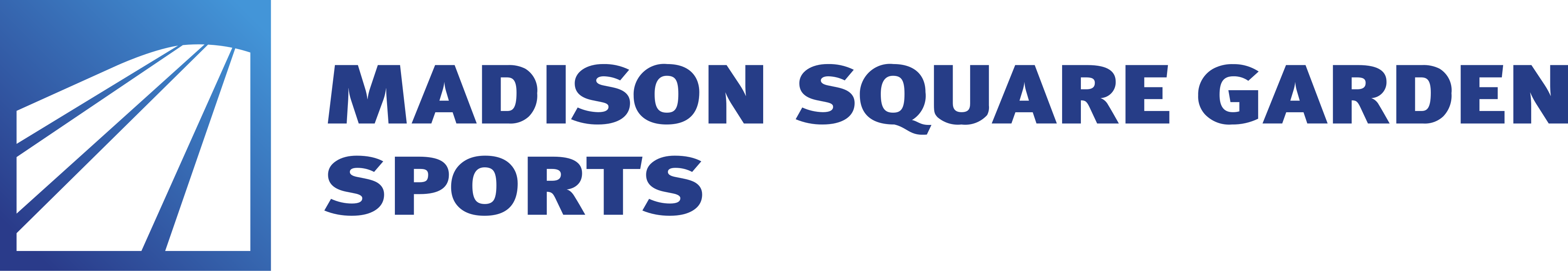 Madison Square Garden Sports